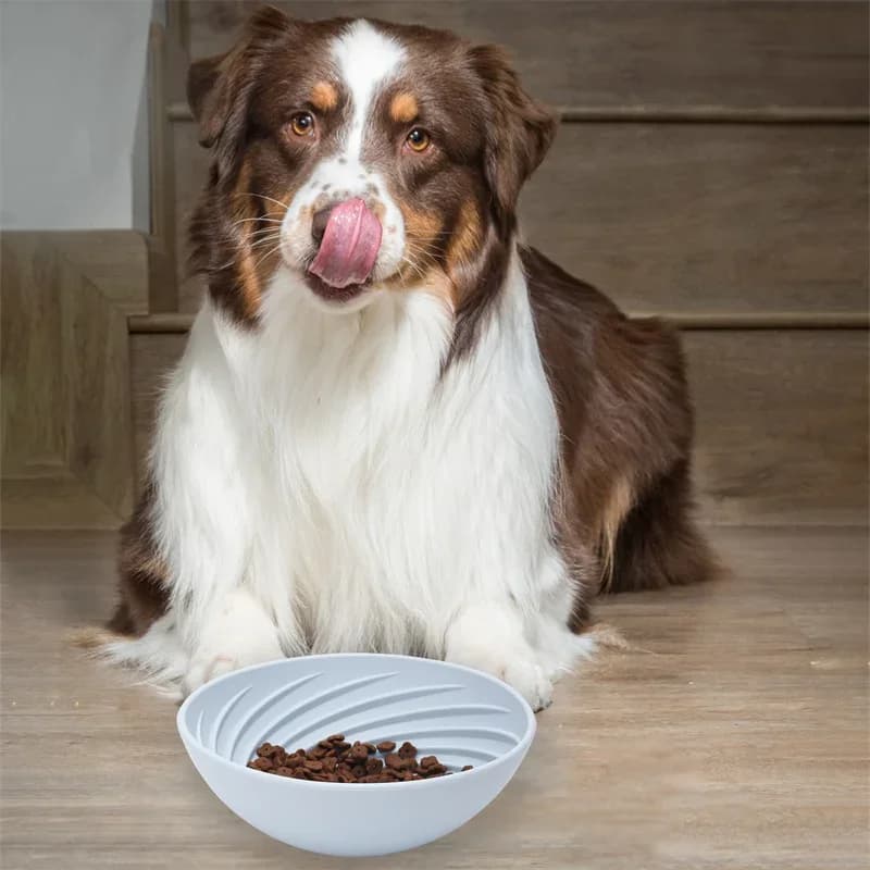 Ciotola lenta per animali domestici con tappetino in silicone per leccare, con ventose anti-ribaltamento e antiscivolo, per cani e gatti