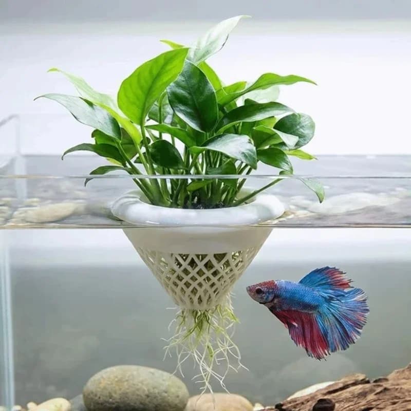 3D Printed Floating Aquarium Planting Basket Plastic Decorative Fish Plant Symbiosis Planter Growing Pots