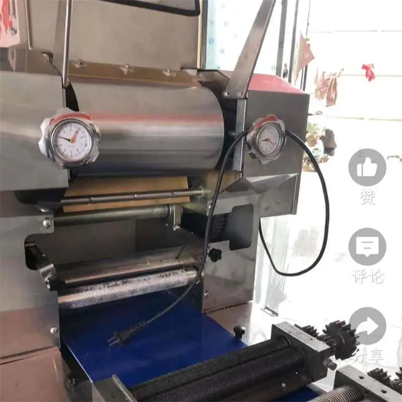 Macchina per pasta elettrica per noodle Taglierina per noodle in acciaio inossidabile Rotolamento automatico della pasta 110V 220V