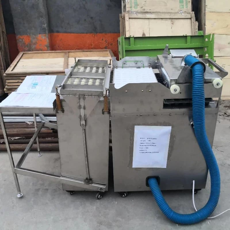 Automatic Plant Seed Seed Machine, Flowers and Vegetable Seeds, Plant Seed Machine in Serra, Great Success