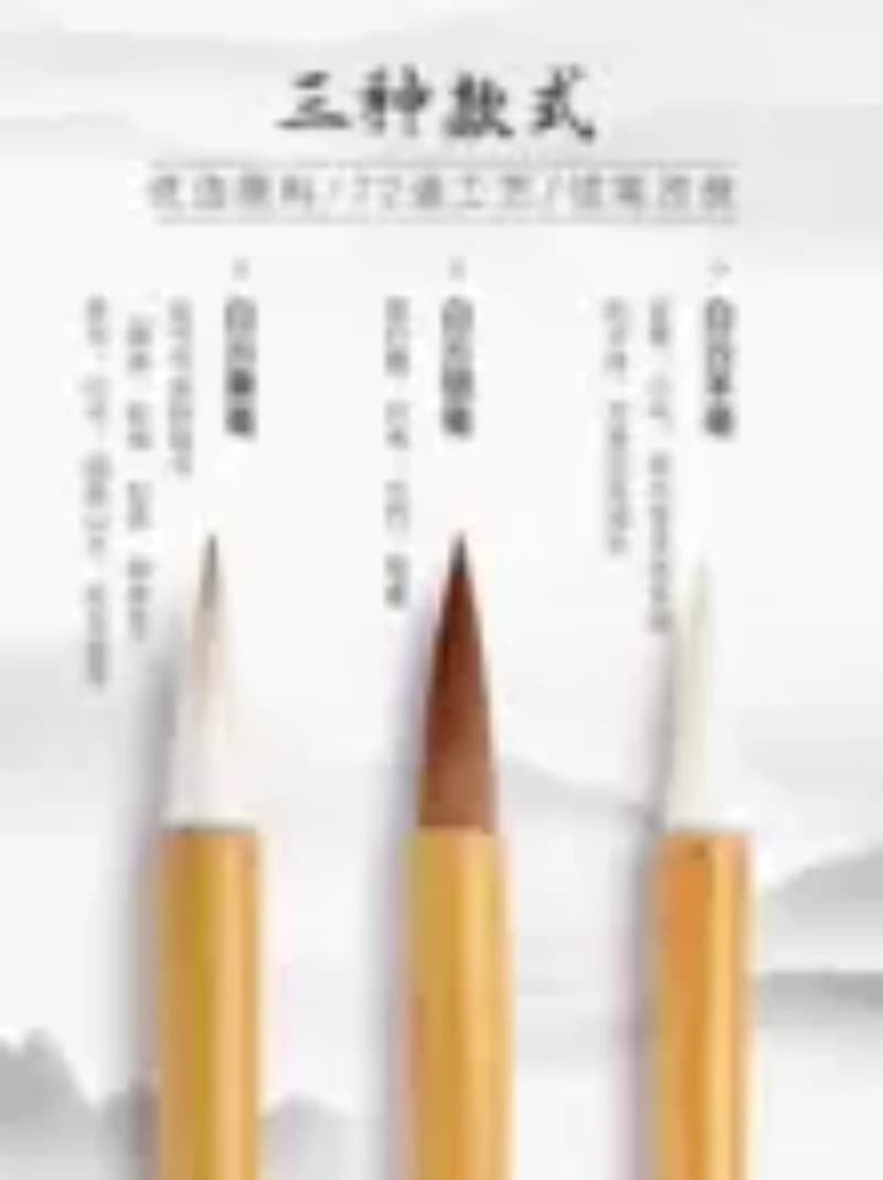 Professional level Chinese painting brush calligraphy beginner set for practicing calligraphy