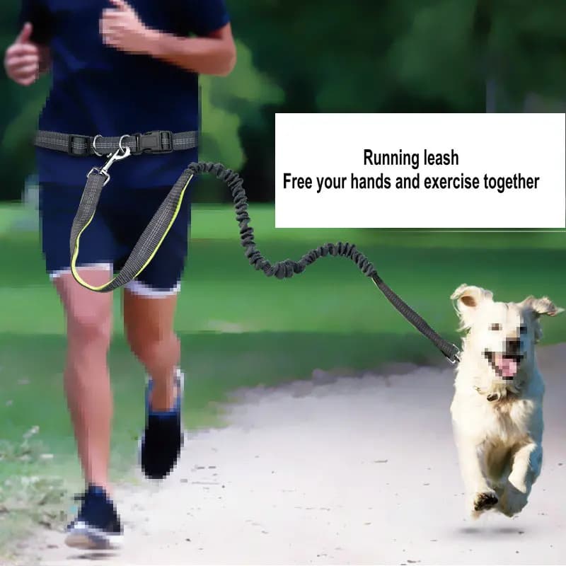 Attrezzo Outdool Cinghie sportive Forniture per animali Guinzagli per animali Guinzagli da corsa per cani Guinzagli da corsa