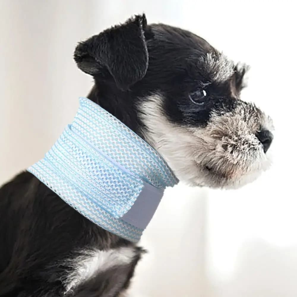 Collare di Recupero per Gatti in Rete Regolabile, Collare di Supporto Morbido per il Collo del Cane, Collare Elisabettiano Comodo e Traspirante per Gatti, per Bagno e Pulizia