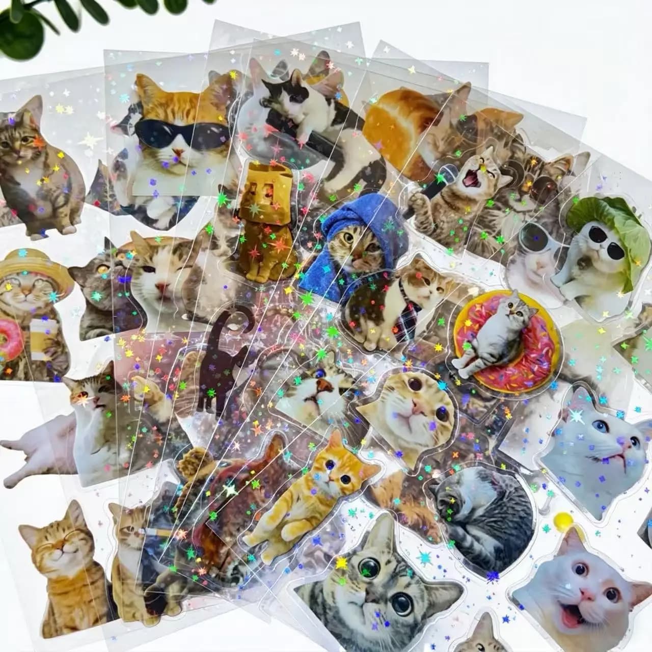 8/16/24 Pezzi Adesivi Decorativi Trasparenti in PET a Forma di Gatto per Borse, Tazze, Quaderni e Cancelleria