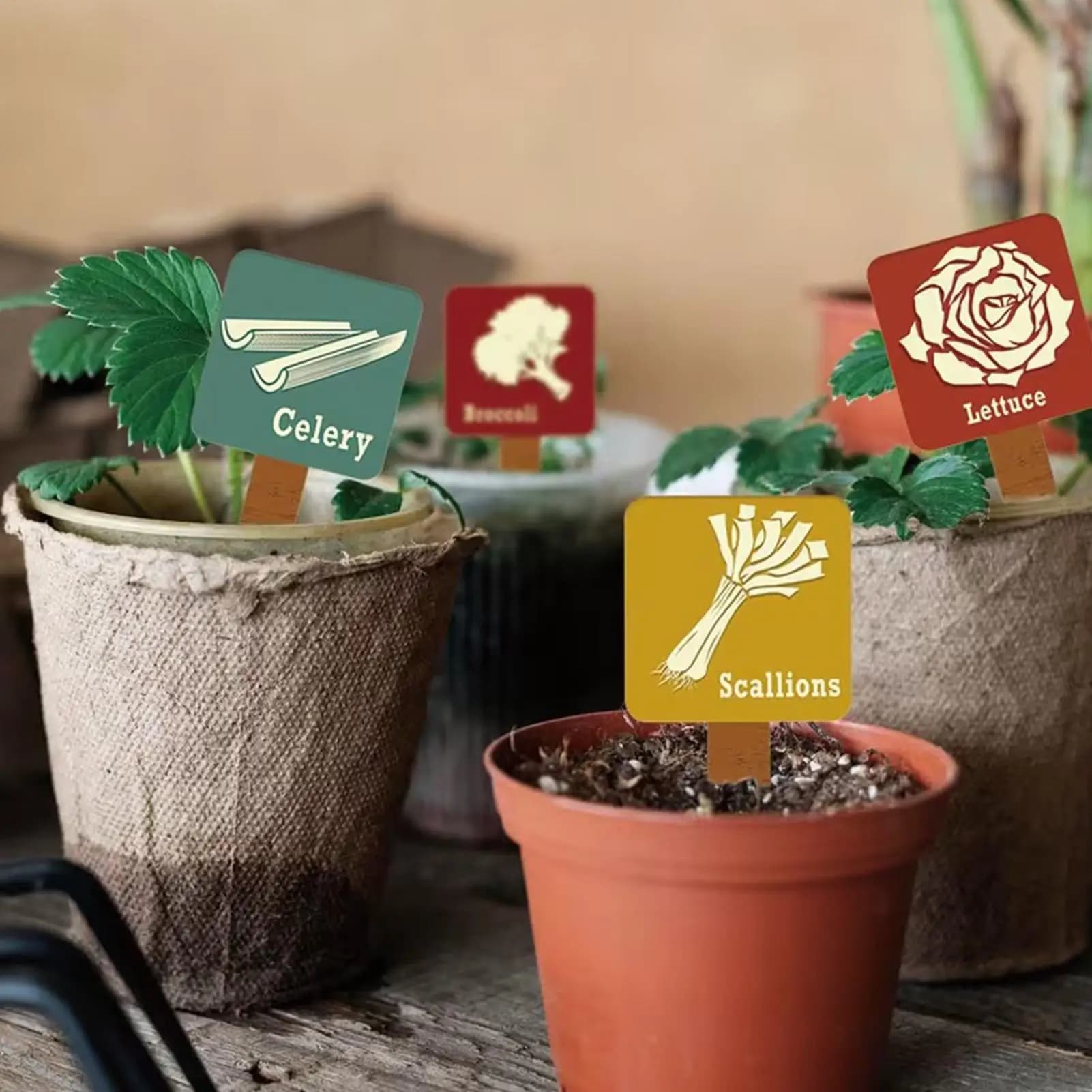 Etichette per Piante 15 Pezzi, Targhette Riutilizzabili Impermeabili a T, Marcatori per Fiori, Verdure e Piante in Vaso