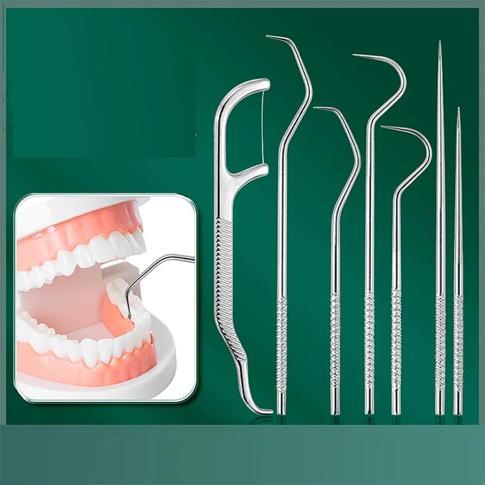 Set Tascabile di Stuzzicadenti in Acciaio Inox, Kit Portatile per Pulizia Dentale con Filo Interdentale Riutilizzabile e Portachiavi