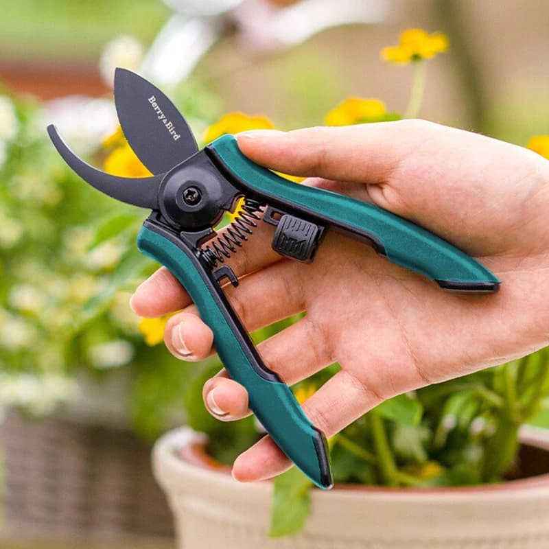 Forbici da giardino per potatore multifunzionale Cesoie da potatura professionali a bypass affilate Trimmer per alberi Cesoie a mano per giardino