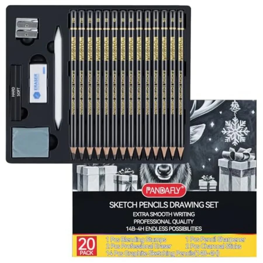 Drawing Sketching Pencil Set, 20 Piece Pro Art Pencil Kit, 4H-14B Graphite Pencils, Charcoal Sticks, Erasers, Sharpener, Blendi
