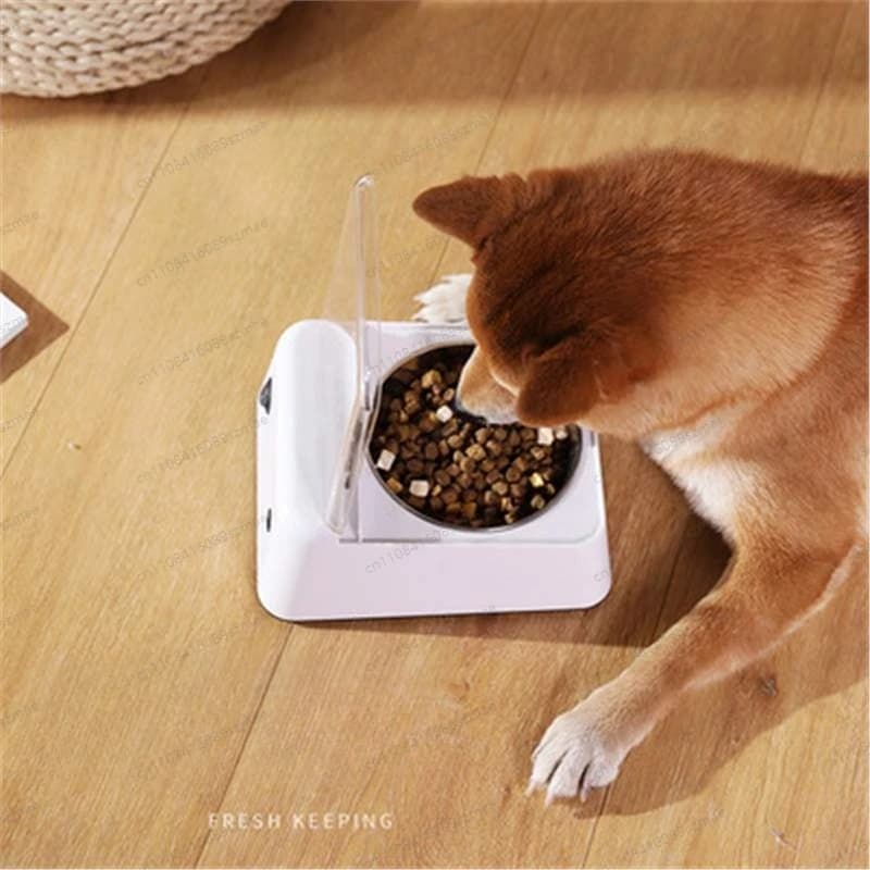 Distributore Automatico di Cibo per Animali Domestici Impermeabile, con Sensore a Infrarossi e Coperchio Automatico, Ciotola Anti-Cockroach e Anti-Ratto per Gatti e Cani
