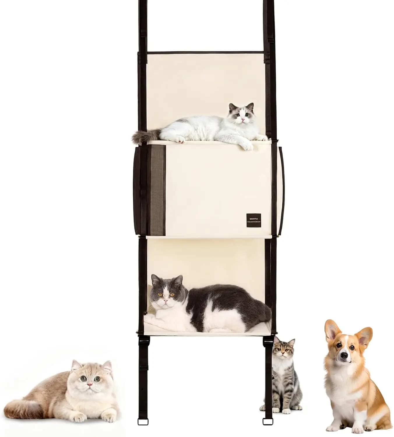 Albero per Gatti a 3 Livelli da Appendere alla Porta con Scomparto Pieghevole e Amaca, Montaggio Senza Attrezzi per Gatti da Interno