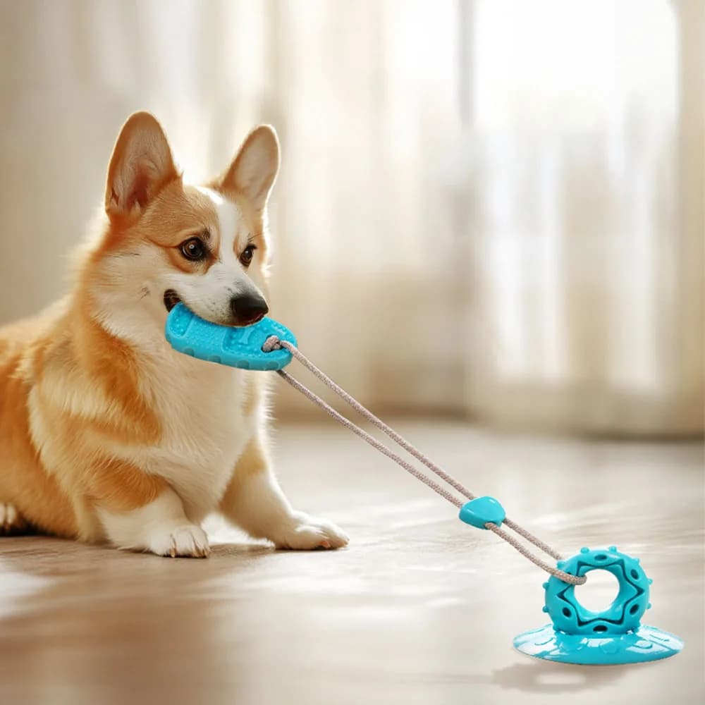 Pet Supplies: Suction Cup Slipper Dog Toy - Bite-Resistant & Durable Chew Toy for Dogs Dog Toy