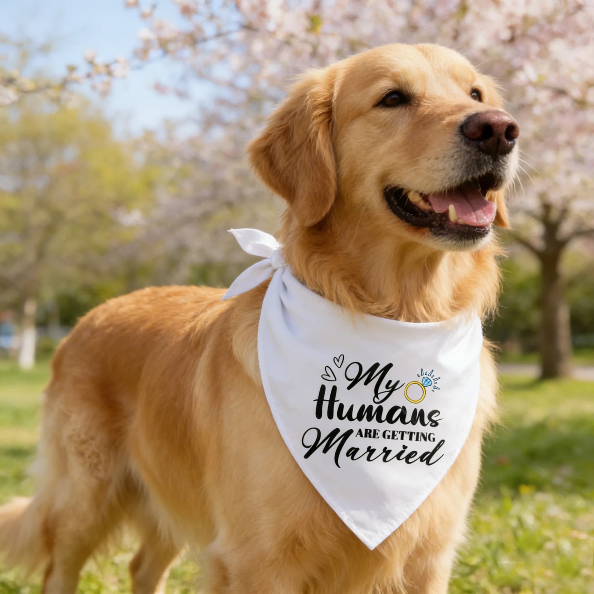 Foulard triangolare per cani e gatti Sucado, costume per cani e gatti, My Humans Are Getting Married, She Said Yes, adatto per baby shower, matrimoni