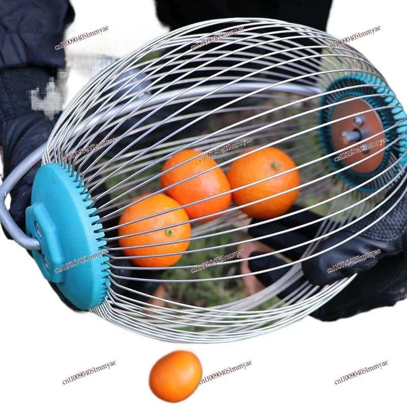 Raccoglitrice di frutta, raccoglitrice di noci, pigna da ping pong, golf, pallina da tennis ecc