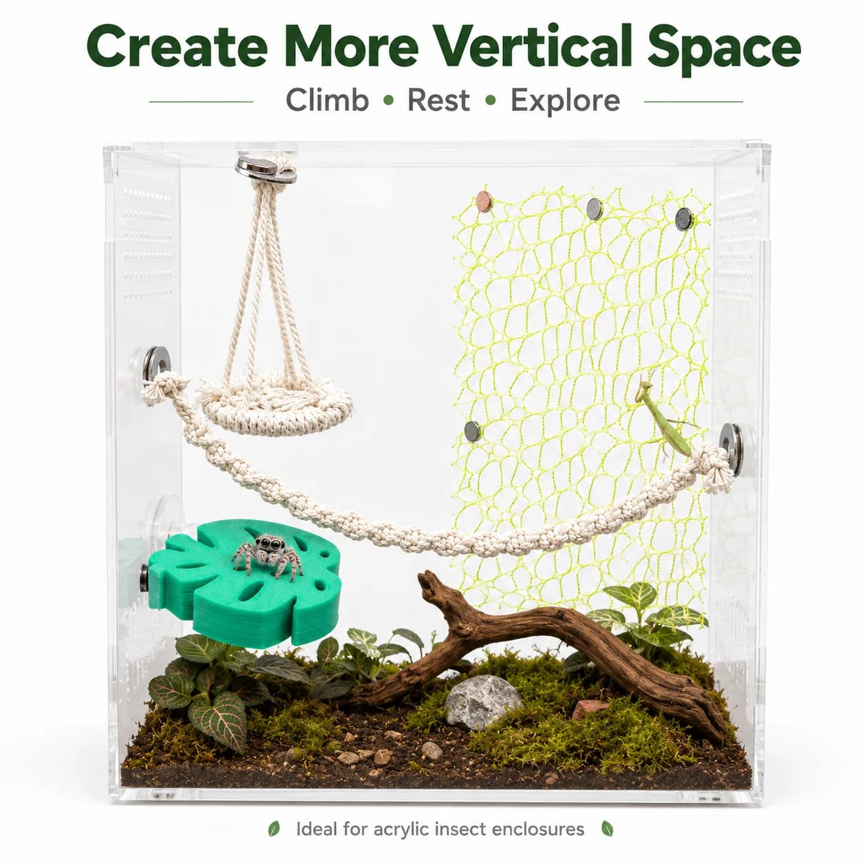 Magnetic Climbing Accessories for Jumping Spiders Hammock Rope Bridge Net Leaf Perch for Insect Terrariumsw