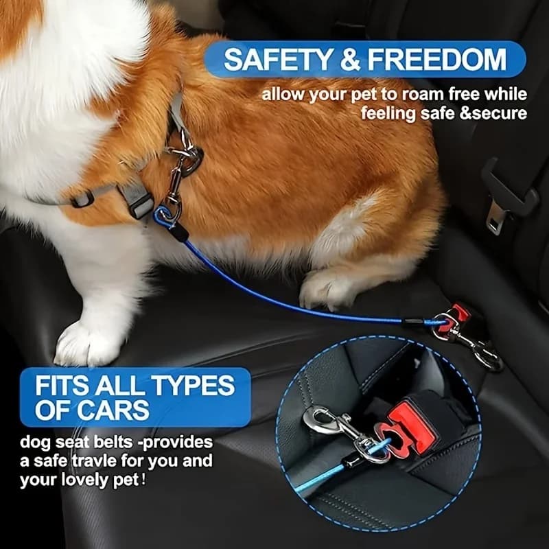 Imbracatura per Cani Anti-Morso, Resistente, Comoda e Sicura, Cintura di Sicurezza per Cani Piccoli/Medi - Essenziale per Viaggi con Animali