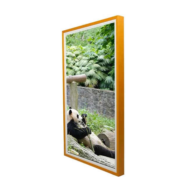 Display per galleria interna da 21,5 pollici Display LCD con controllo WiFi Schermo pubblicitario Cornice per foto digitale montata a parete