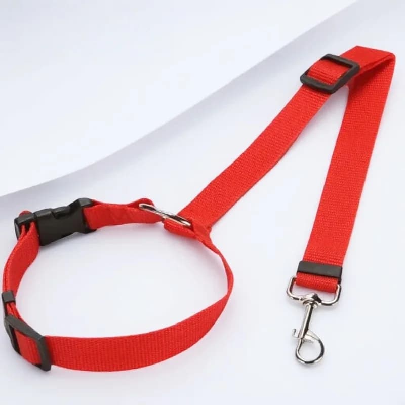 Cintura di Sicurezza Regolabile 2-in-1 per Animali Domestici, Guinzaglio in Nylon, Collare di Sicurezza per Cani e Gatti - Accessorio da Viaggio per Sedile Posteriore