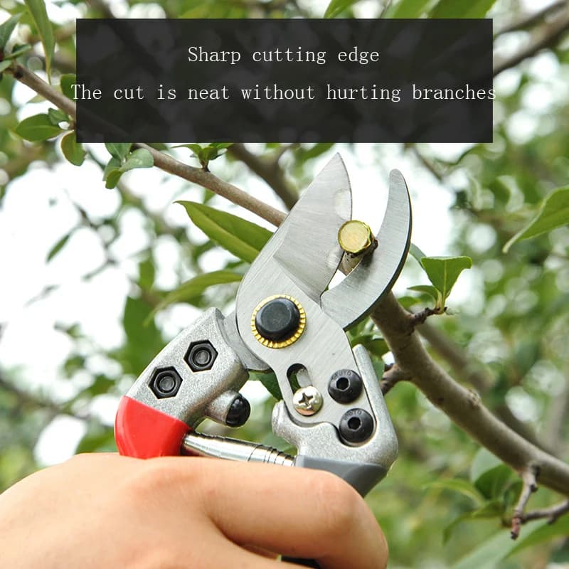 Forbici Professionali da Giardino, Cesoie per Frutteto, Utensili Manuali per Bonsai, Forbici da Giardinaggio, Cesoie per Potatura