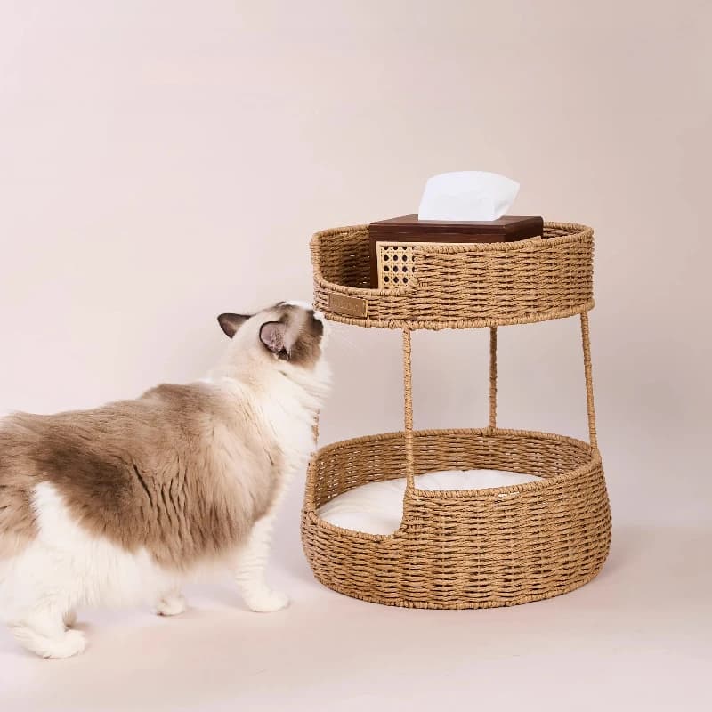 Lettiera invernale per gatti superiore e inferiore ispessita per uso domestico