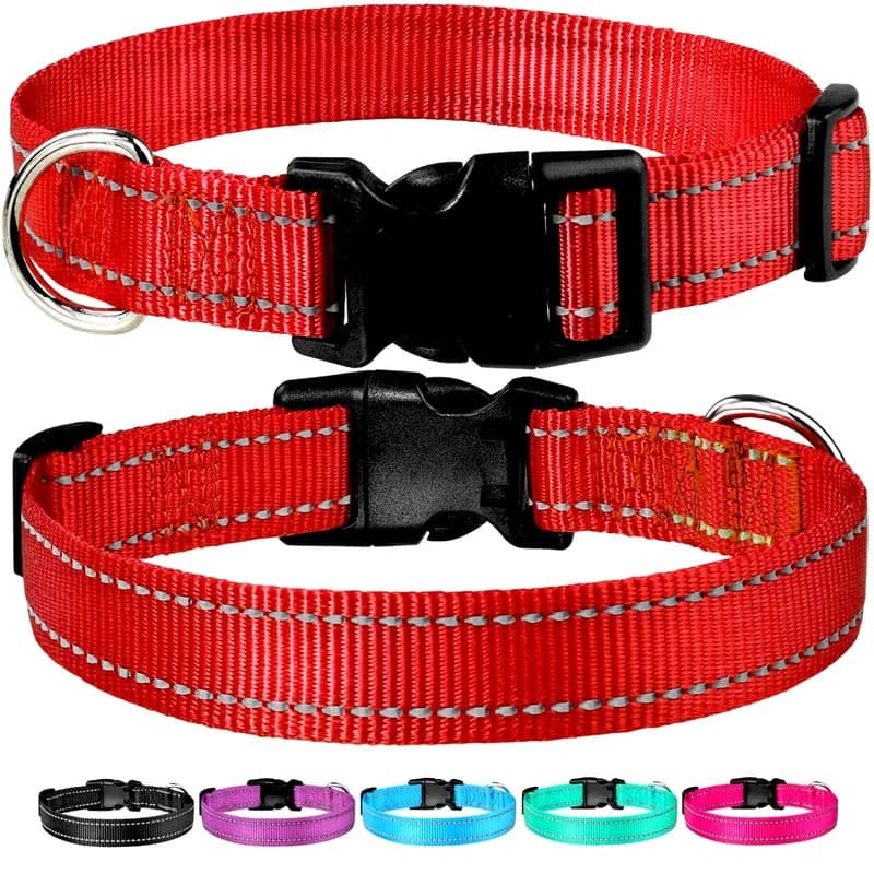 Best-selling dog leash collar with adjustable pet leash chest strap dog collar