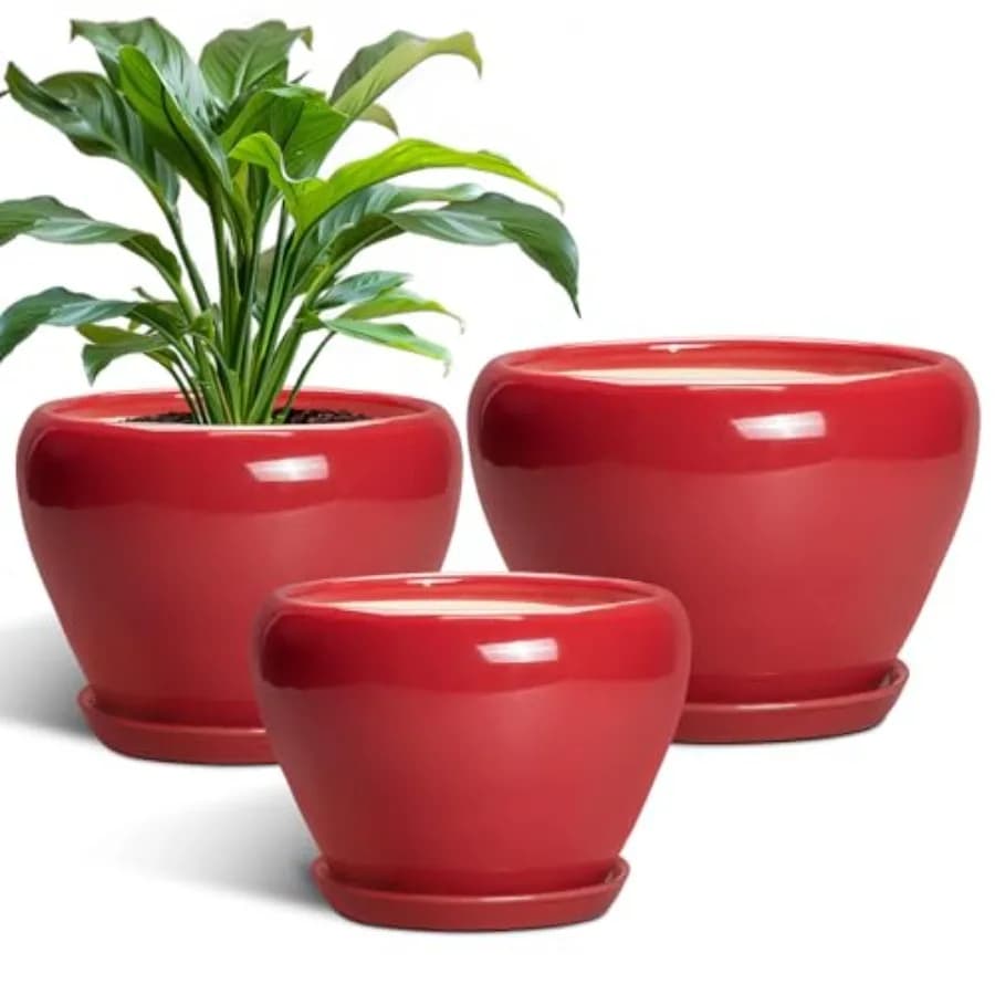 Vasi in Ceramica 10+8+6 Pollici con Fori di Drenaggio e Sottovasi, Vasi Decorativi Rotondi per Piante da Interno ed Esterno