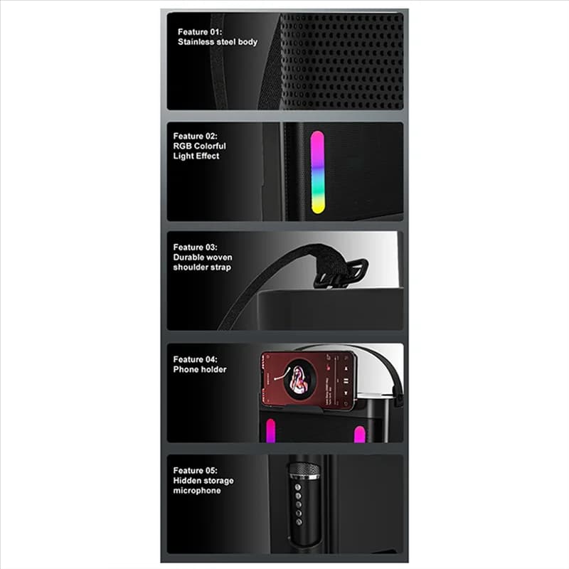 PHILE-altoparlante subwoofer Bluetooth wireless portatile macchina per karaoke per feste in famiglia con luce colorata con 2 microfoni stereo