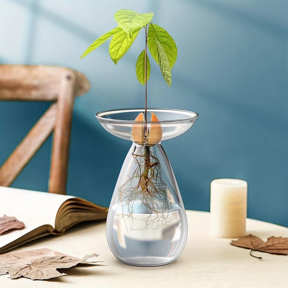 Vaso per la Propagazione di Semi di Avocado, Stazione di Propagazione Piante Trasparente, Vaso in Vetro per Albero di Avocado e Fiori da Balcone