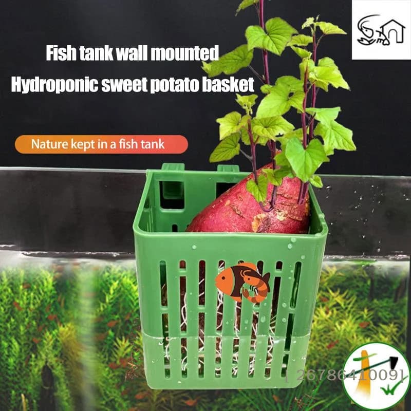 ⚑Hanging Suction Cup Hook Aquarium Plant Holder Plastic Aquarium Planter Planter Baskets Aquatic Pot Box Aquascape Decor