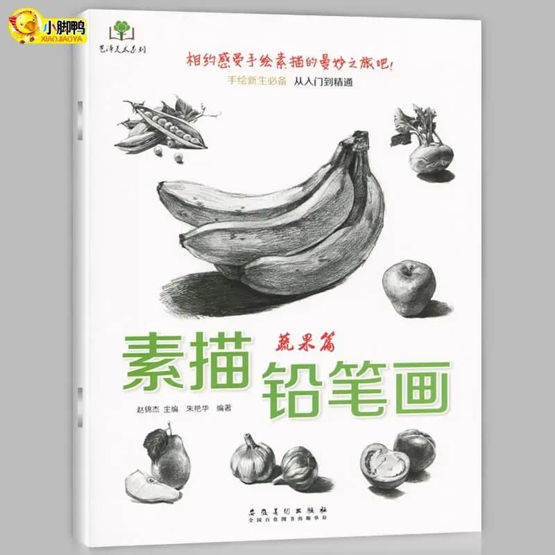 Sketch Pencil Drawing From Beginner to Proficient in Sketching Art Book Single Book Drawing Tutorial