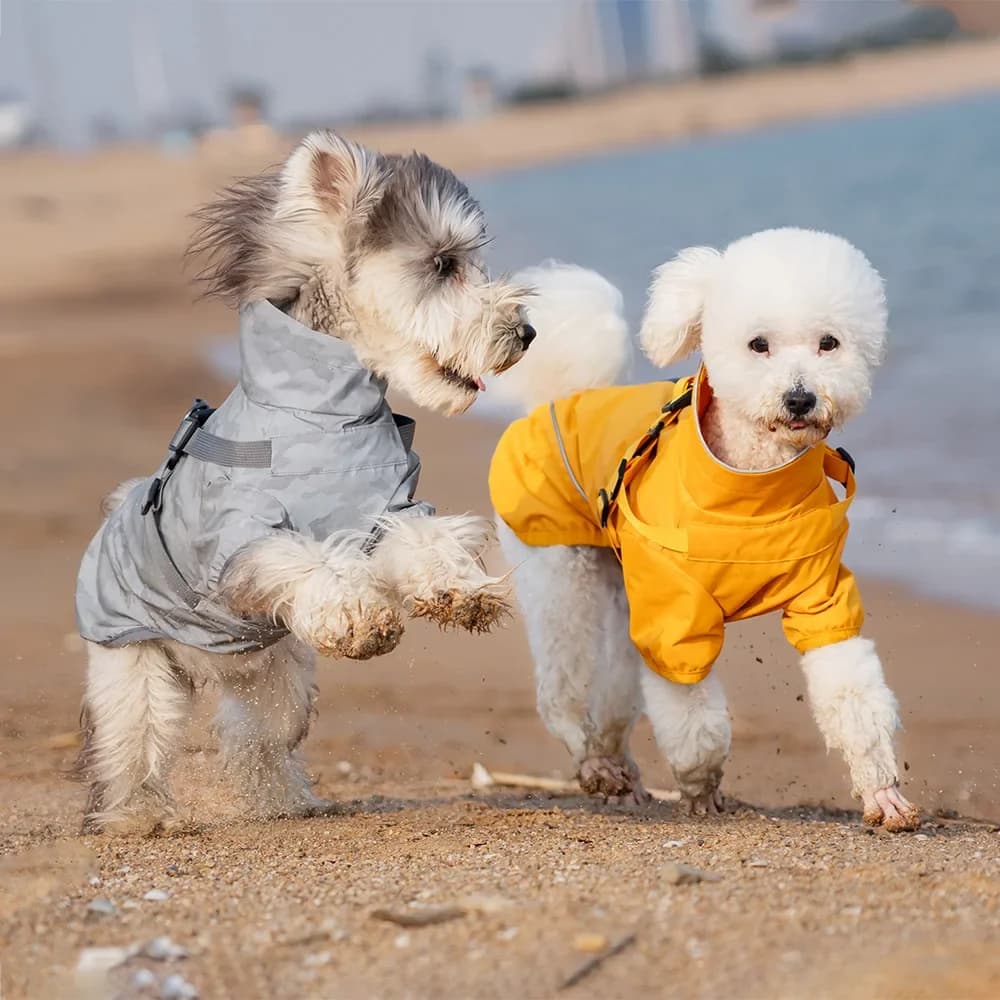 Giacca Antipioggia per Cani Piccoli: Impermeabile con Imbracatura, Riflettente per Campeggio nella Giungla