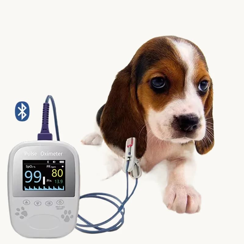 Pet Animal Heart Rate Pulse Oximeter for Cats And Dogs Vet Equipment