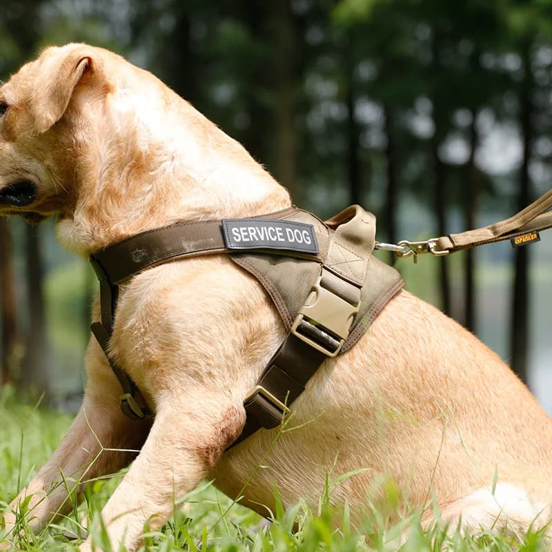 Imbracatura tattica per gilet per cani Imbracatura per addestramento per animali domestici Gilet per cani Imbracatura per cani da lavoro/corsa all'aperto regolabile con maniglia