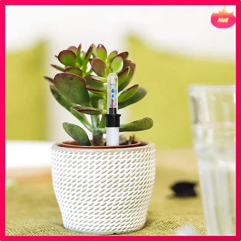 ABYP 8-piece water level indicator for indoor plant flower pots, very suitable for hobby gardener View water level