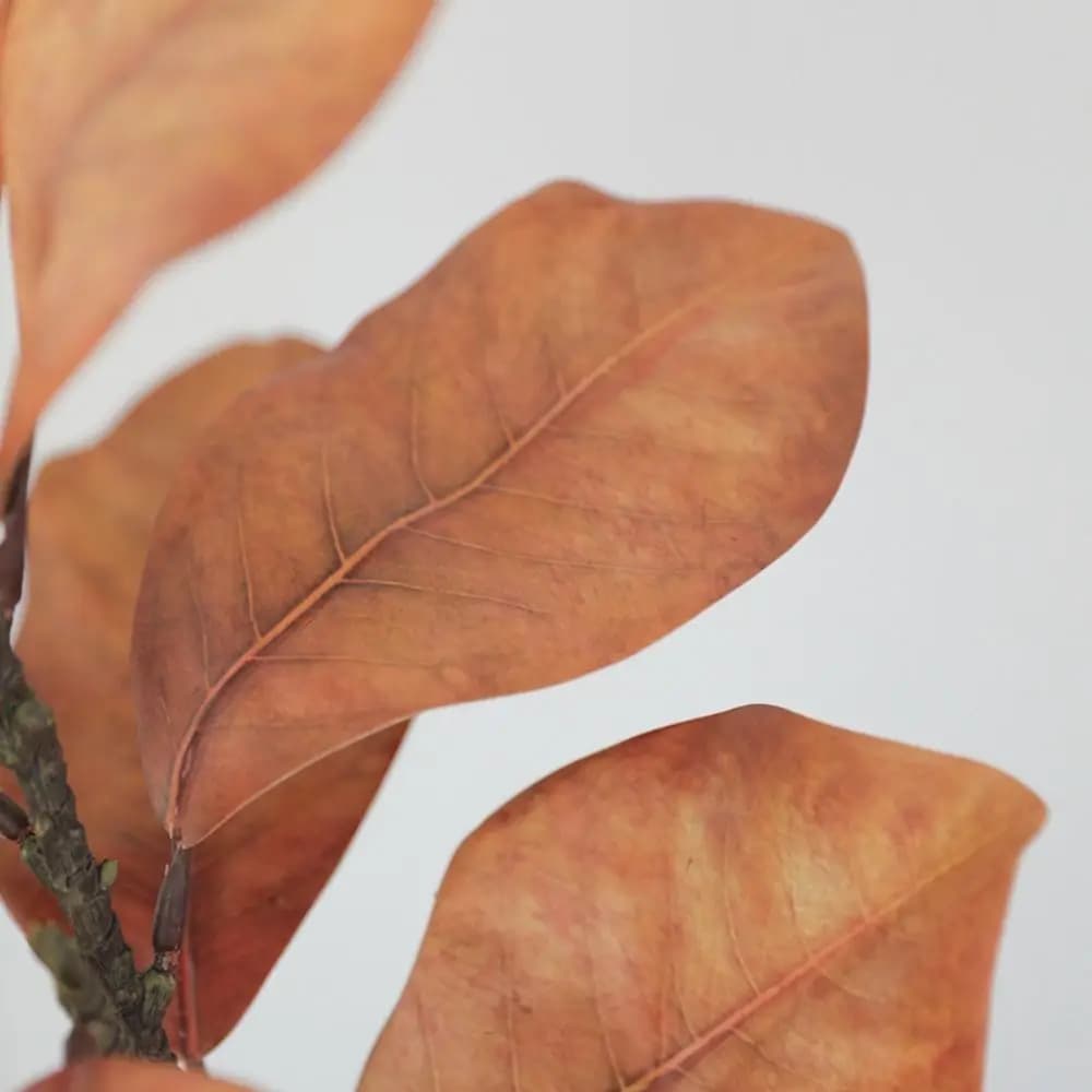 57 cm Artificial Magnolia Coppers, Tatto Realistics, Fined Magnolia Plant, Artisanal Floral Art, Simulated Green Plants
