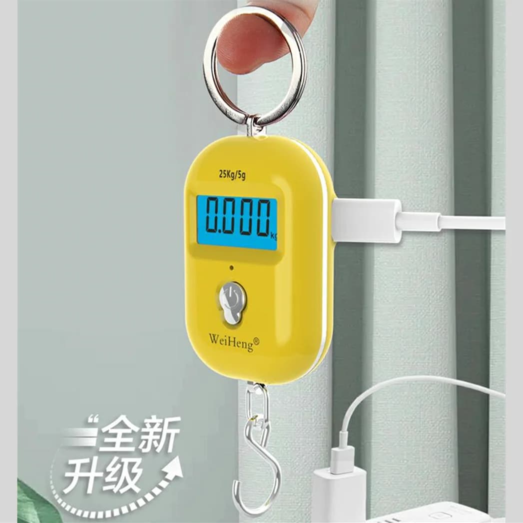 Rechargeable Portable Scale Express Luggage Scale Electronic Household Hook Spring Fishing