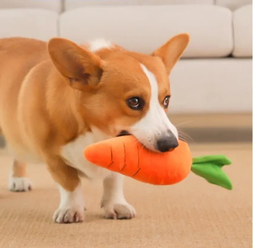 Big Size Sounding Carrot Pet Chew Toy Durable Plush Anxiety Calming Toy Large Sized Play Supplies Suitable For All Breeds Dogs