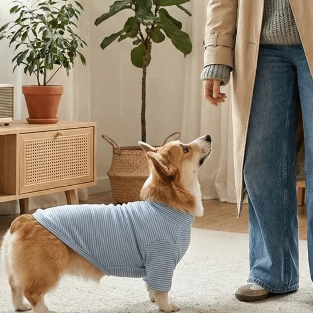Maglietta Casual a Righe per Animali Domestici, Pullover Caldo e Morbido con Collo Alto, Multicolore, Abbigliamento a Due Zampe per Cani, Protezione per Esterni
