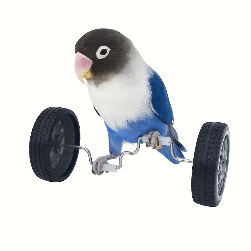 Pappagallo Equilibrio Uccelli Addestramento dell'intelligenza Giocattolo interattivo Mini Ruote per bicicletta Rullo per uccelli piccoli e medi Forniture per animali domestici Giocattoli