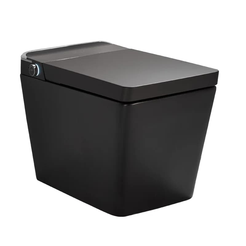 Customization of Toilet Toilets Smart Black Square Toilet Automatic Toilet