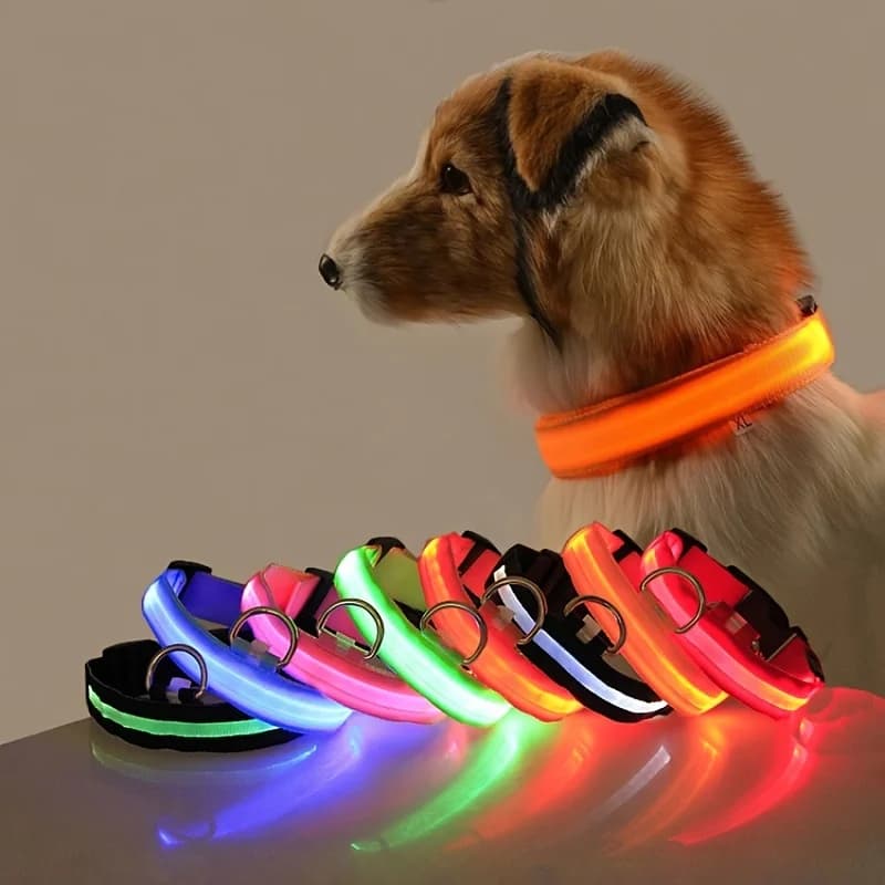 Guinzaglio per cani in nylon con LED luminosi, fluorescenti e che si illuminano al buio, per la sicurezza notturna. Collare luminoso per cani.