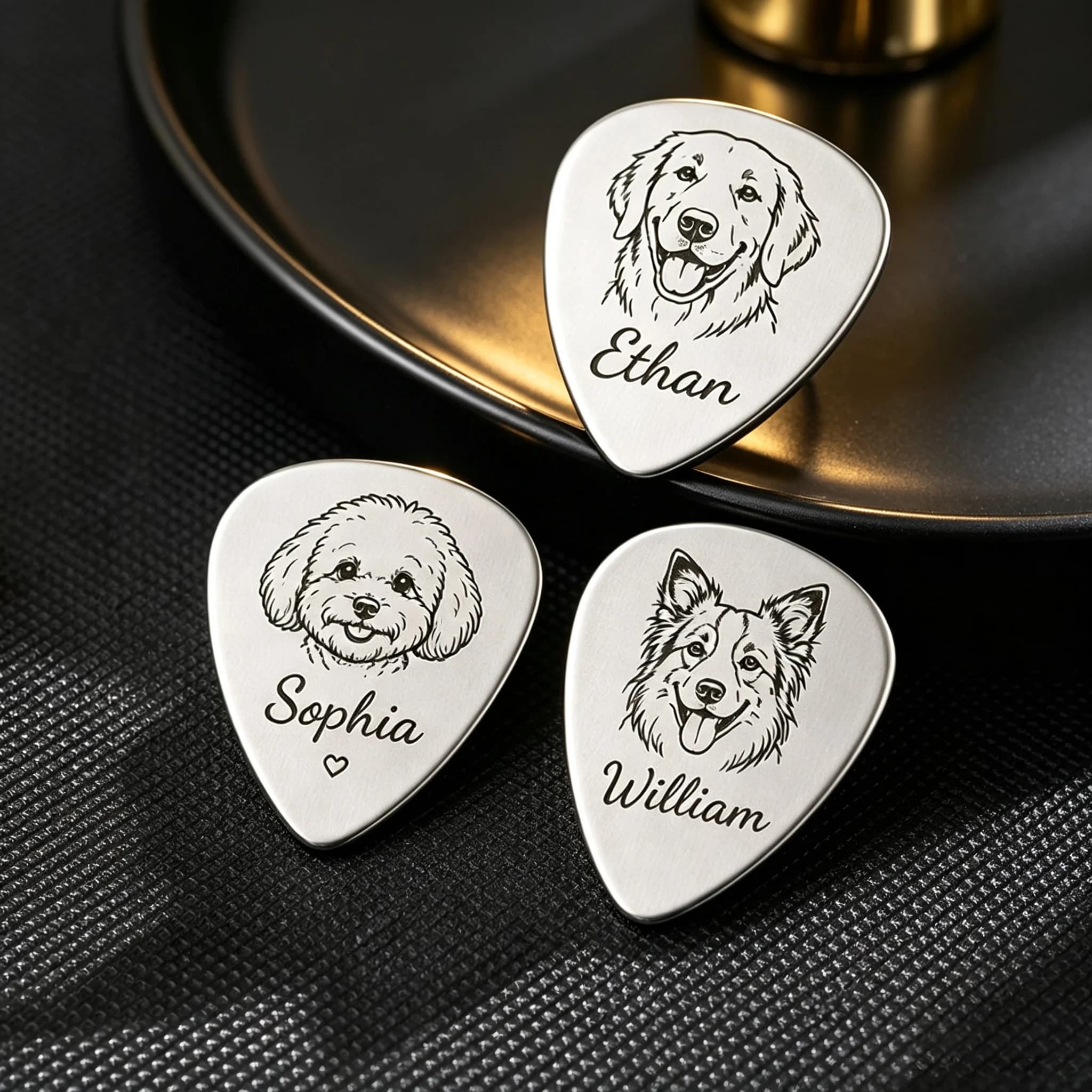 Custom Pet Photo Name Stainless Steel Guitar Pick Engraved Dog Cat Image Owner Name Musician Pet Owner Gift Luxury Personalized
