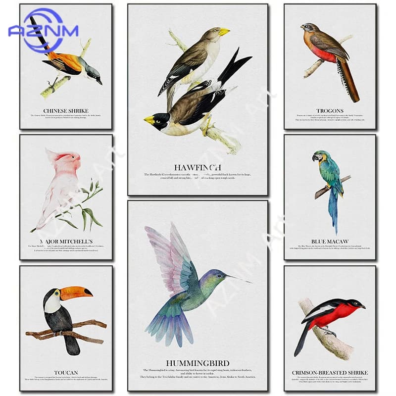 Bright Colors Birds Subject Hummingbird Birds Blue Macaw Posters Woodland Wildlife Canvas Paintings Wall Art Pictures Home Decor