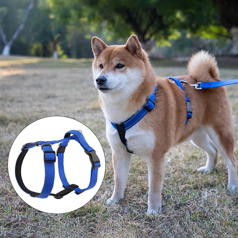 Husky Pettorina per cani leggera a forma di H Gilet riflettente Cintura pettorale morbida in nylon antideflagrante Accessori per animali domestici per cani