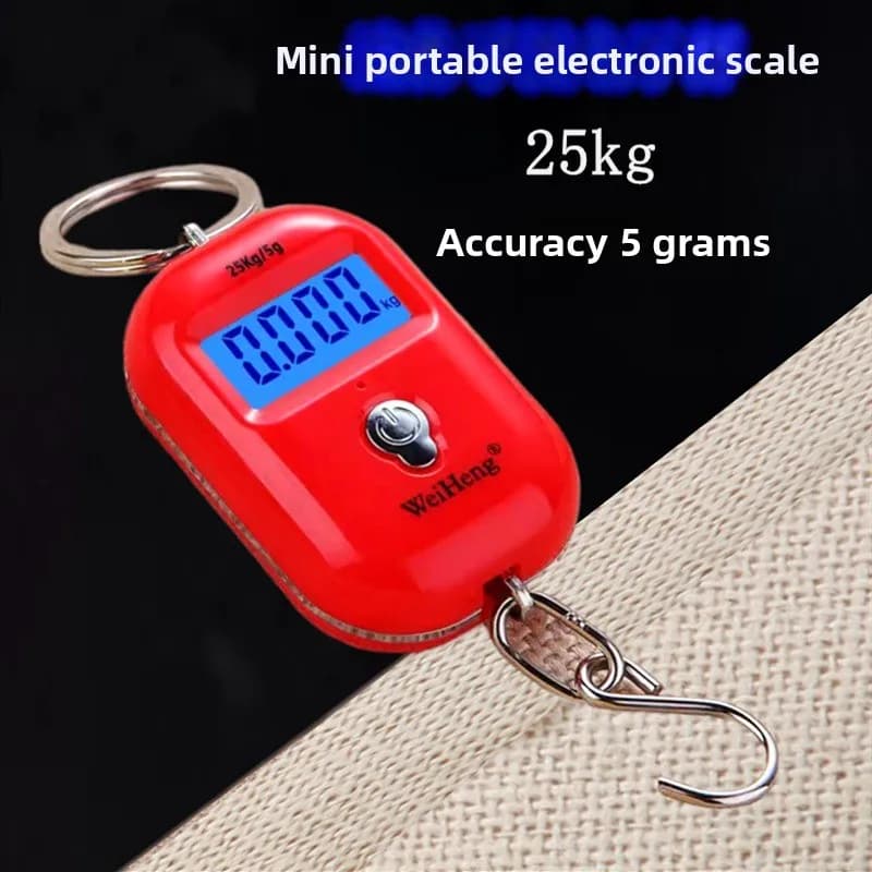 Bilancia Digitale Mini da 25Kg x 10g, Carina e Portatile, con Gancio per Pesatura di Bagagli, Pesca, Viaggi e Cucina