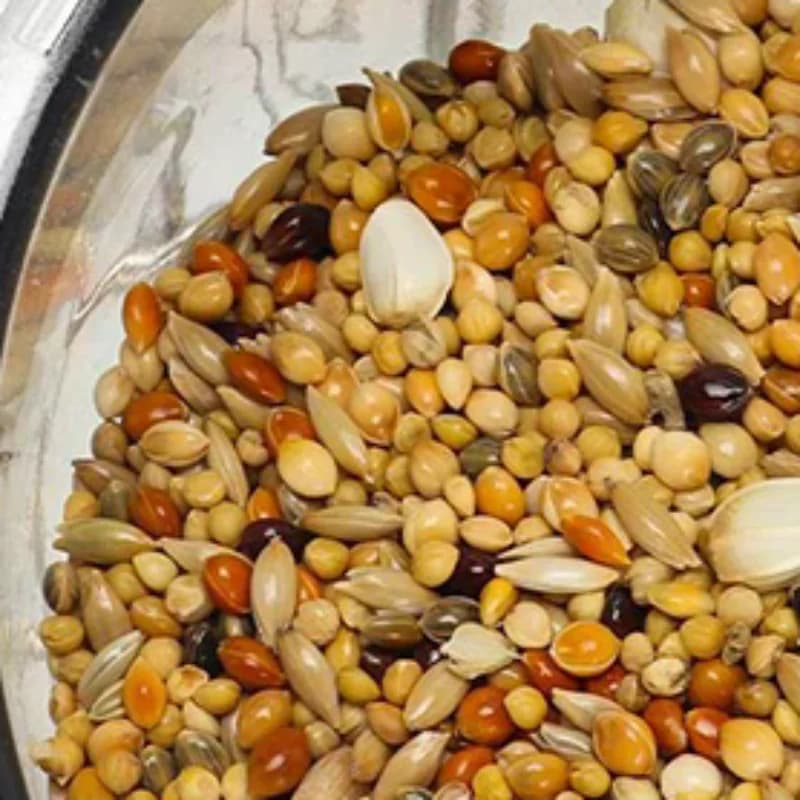 Ciotola per l'alimentazione degli uccelli, ciotola in plastica trasparente staccabile, tazza per il cibo da appendere alla gabbia, comoda ciotola per l'acqua per pappagalli, accessori per animali domestici