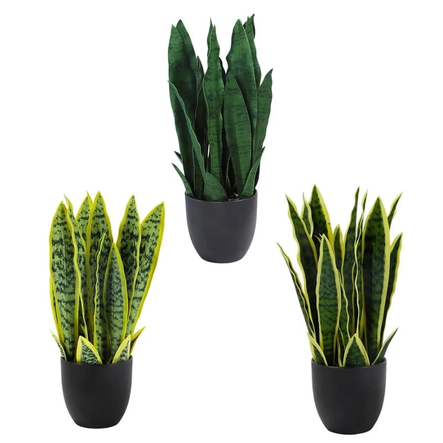 Set of 3 Realistic Artificial Potted Plant Faux Sansevieria Gold Edge Snake Plant Long Green Leaf Indoor Outdoor Decorative Orn