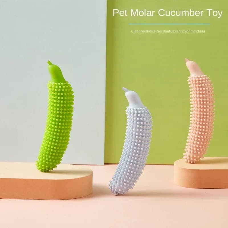 Giocattoli per animali domestici Nuovi strumenti creativi per morso e digrignamento dei denti di cetrioli per addestramento interattivo durevole e divertente bastoncini per morso di cane