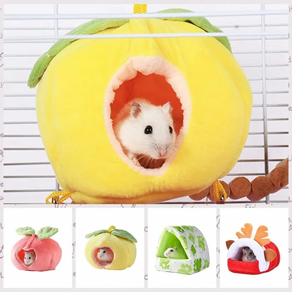 Amaca Suspended for Domestic Animals, Hot Peel To Shape Fruits for Cricetes, Nido in Plush to Carton Animated for Porcellini of India, Autumn