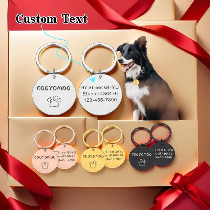 Etichetta identificativa Nome personalizzato Registrazione incisa anti-smarrimento Indirizzo tel Cucciolo di gatto Stampa zampa personalizzata Medaglia Ciondolo Collare per cani da compagnia Accessorio