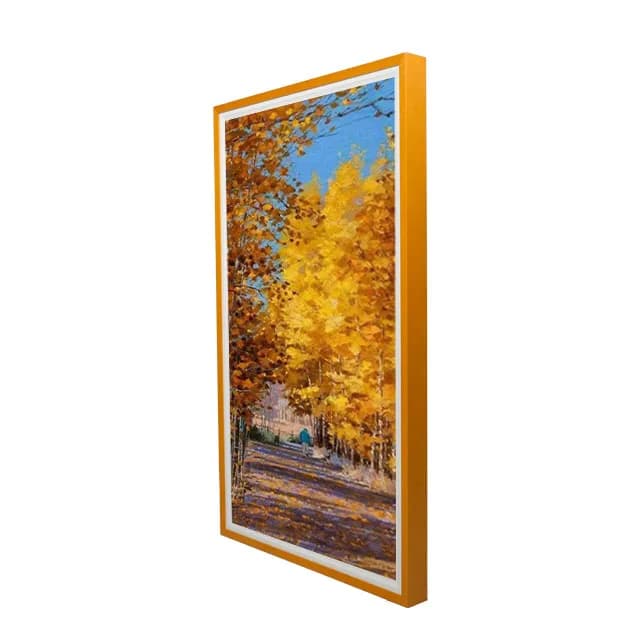 Schermo LCD da 32-55 pollici da parete, cornice digitale per foto e video animati